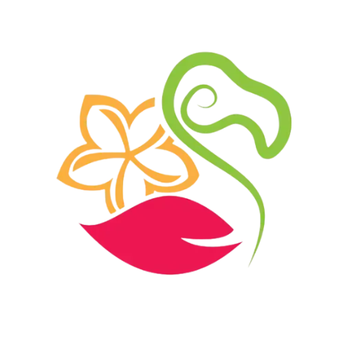 Logo Dodo transparent 400X400