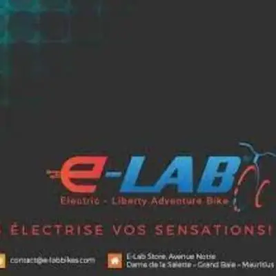 logo e-lab